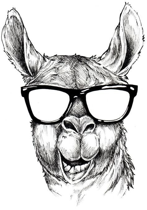 Hello llama by ShangaiLily.deviantart.com on @DeviantArt Alpaca Drawing, Llama Drawing, Llama Face, Llama Arts, Birthday Coloring Pages, Drawing Heads, Llama Drama, Arte Robot, Outline Drawings