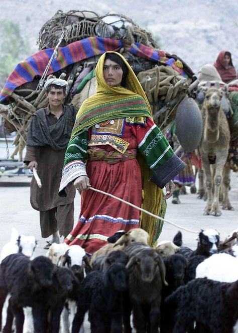 People And Animals, Other People, A Woman, Walking, Dogs, Animals