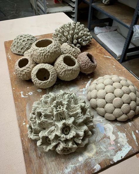 Table Top Sculpture, Deep Clay Art, Coral Pottery Ideas, Natural Form Sculpture, Pottery Coral Reef, Natural Forms Sculpture, Ceramic Nature Sculpture, Coral Ceramic Art, Sea Inspired Pottery