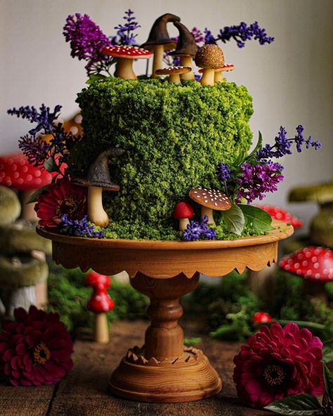 Pumpkin Butter Cake, Moss Cake, Love Herbs, Fairy Garden Cake, Nature Cake, Mushroom Cake, Witch Cake, Brown Sugar Frosting, Forest Birthday