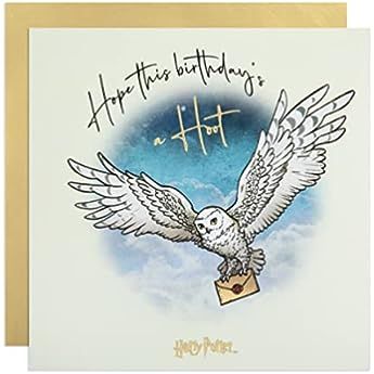 Harry Potter Age, Harry Potter Birthday Cards, Intricate Drawings, Harry Potter Cards, Harry Potter Art Drawings, Harry Potter Games, Harry Potter Hedwig, Gold Envelope, Harry Potter Gifts