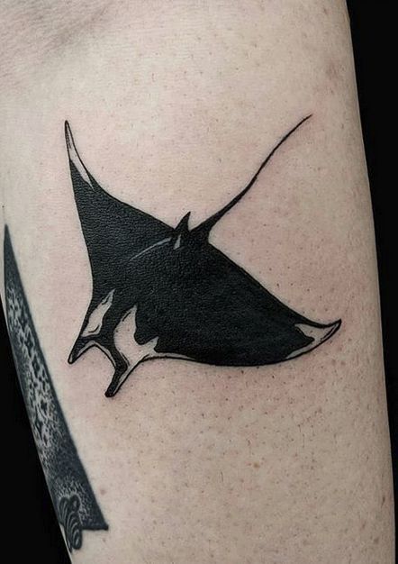 Manta Tattoo Manga Ray Back Tattoo, Traditional Manta Ray Tattoo, Giant Manta Ray Tattoo, Bat Ray Tattoo, Manga Ray Tattoo, Cute Cover Up Tattoos, Manta Rays Tattoo, Tattoos Stingray, Manta Ray Tattoo Small