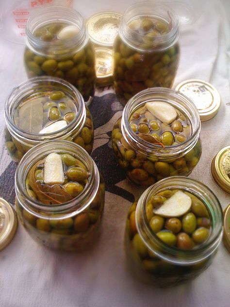 Olives Marinated, Wild Crafting, Pickled Olives, Olive Brine, Marinated Olives, Brine Recipe, Food Gardening, Olive Recipes, Olive Grove