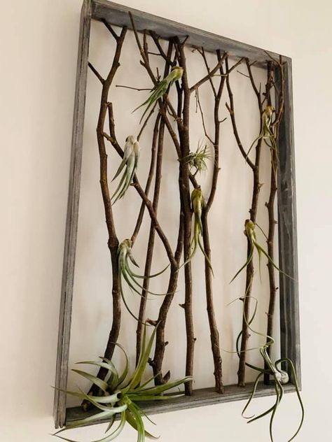 Air Plant Art, Tillandsia Display, Air Plants Diy, Plant Holders Indoor, Air Plant Garden, Plant Display Ideas, Air Plants Decor, Portable Garden, Air Plants Care