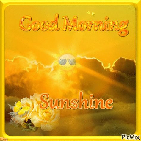 Good Morning Sunshine Gif morning good morning good morning quotes good morning gifs good morning images good morning sunshine Good Morning Hot Coffee, Good Morning Sunshine Pictures, Lene Nystrom, Animated Good Morning, Sunshine Pictures, Good Morning Sun, Sunshine Wallpaper, Sunshine Photos, Latest Good Morning