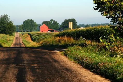 Sesh Spot, Familiar Places, Country Gal, Farming Life, Dirt Roads, Country Barns, Northern Indiana, Farm Lifestyle, Country Stuff