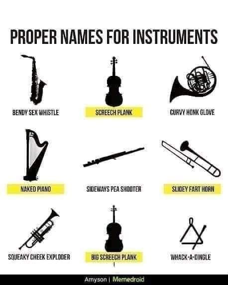 Orchestra Jokes, Flute Memes, Funny Band Jokes, Band Puns, Musician Memes, Musician Jokes, Marching Band Memes, Musician Humor, Marching Band Humor