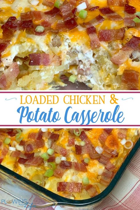 Chicken casserole with potatoes and loaded with cheese, sour cream, bacon and green onions make a delicious and filling meal.  Chicken and Twice Baked Potato Casserole casserole can feed a crowd at potlucks, make freezer meals or extra lunches for your family. Chicken Casserole With Potatoes, Potato Casserole With Chicken, Loaded Chicken And Potato Casserole, Baked Potato Chicken Casserole, Chicken And Potato Casserole, Casserole With Potatoes, Freezer Casseroles, Loaded Chicken And Potatoes, Loaded Potato Casserole