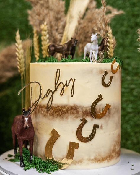 Horse Cake Design, Country Birthday Cakes, Bolo Motocross, Western Birthday Cakes, Cowboy Birthday Cakes, Country Birthday Party, Horse Themed Party, Horse Birthday Cake, Cowgirl Cakes