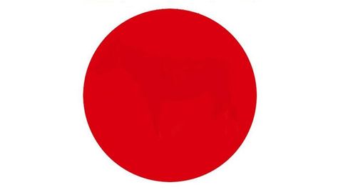 What do you see in the red dot? This optical illusion has people going dotty! Optical Illusions Mind Blown, Optical Illusions For Kids, Optical Illusions Drawings, Period Symptoms, Optical Illusions Pictures, Illusion Photography, Abc Crafts, Optical Illusion Tattoo, Illusion Pictures