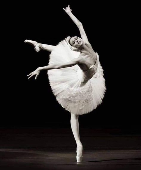 Swan Lake, Ballet, Lake, White