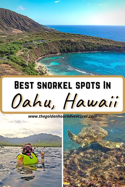 Best Snorkel Spots in Oahu Best Snorkeling In Oahu, Best Places To Snorkel, Hawaii Vacation Oahu, Hawaii Snorkeling, Hawaii Trip Planning, Hawaii Vacation Tips, Travel Fiji, Oahu Vacation, Oahu Travel