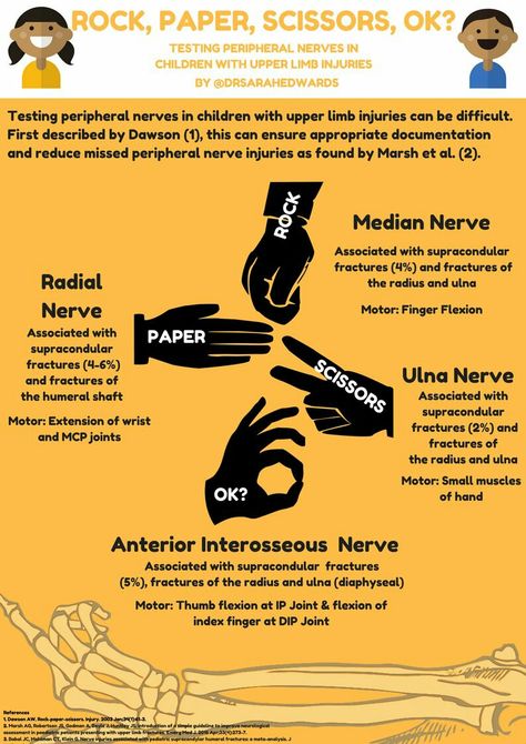 Peripheral Nerve Testing Peripheral Nerve Injury, Nerve Injury, What Is Intelligence, Nerve Anatomy, Radial Nerve, Physical Therapy Student, Ulnar Nerve, Median Nerve, Physical Therapy Assistant