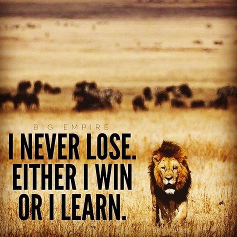 Always remember that there is no failure there are just ways you've figured out not to do something there is no failure only things that we learn from every experience. So remember you never lose you never fail you simply experience gain knowledge and learn. Be BRAVE you're already AMAZING!!! #ABE #AWOL #ARevolutionaryWalk #Blaque #BuildUrBuzz #BRANDED #BuildMovementsnotMonuments #Chosen #CaribbeanBuzz #challengeyourselfdaily #ChallengeEachOther #CatchtheVybe #DIGLyfe #EverydayLyving #ThoughtLif Navy Seals Quotes, Seal Quotes, Funny Life Lessons, Relationship Goals Quotes, I Never Lose, Learn Something New Everyday, Bahasa Arab, Navy Seal, Funny Work