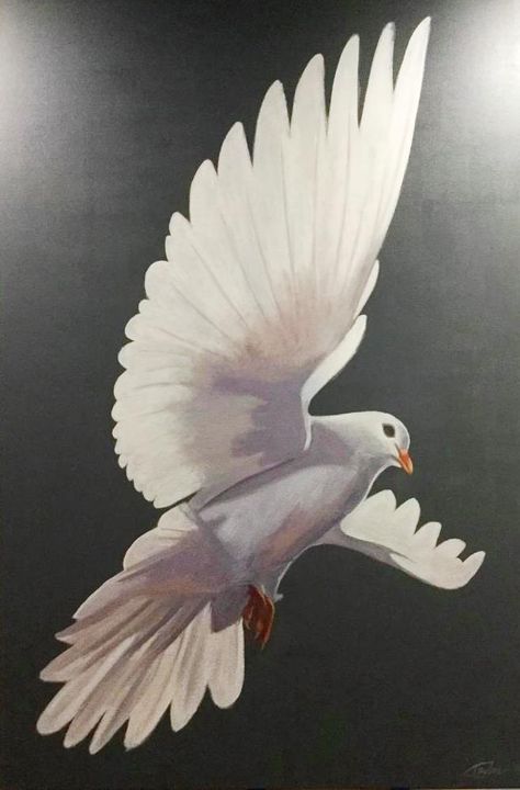 Abstract Dove Painting, Dove Oil Painting, Peace Drawing Ideas, Dove Paintings, Doves Painting, Dove Bird Art, White Bird Painting, Dove Sketches, Dove Artwork