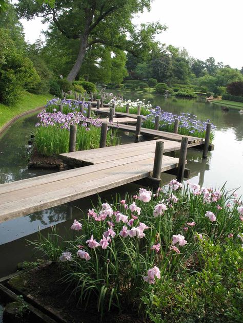 Lake Landscaping, Farm Pond, Natural Swimming Ponds, Swimming Pond, Pond Landscaping, Missouri Botanical Garden, Piscina Natural, Natural Swimming Pool, Pond Design