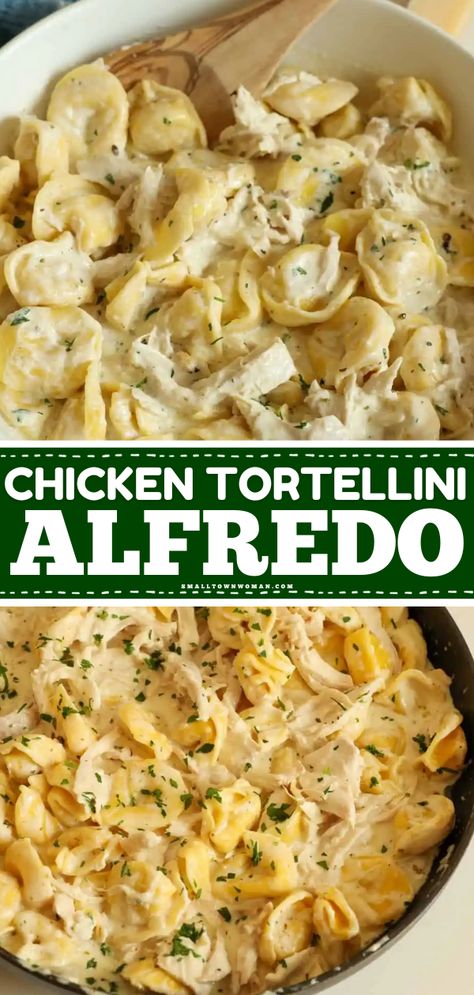 This easy chicken tortellini alfredo is amazing! You're just 20 minutes away from this weeknight dinner for family. Everyone will love this simple pasta recipe with rotisserie chicken and cheese tortellini in a rich and creamy homemade alfredo sauce! Easy Dinner Recipes Cheese Tortellini, Easy Chicken Tortellini Alfredo, Tortellini Alfredo With Chicken, Pasta Recipes With Tortellini, Chicken Alfredo Recipes For Dinner, Chicken Alfredo With Tortellini, Tortellini And Rotisserie Chicken, Rich Pasta Dishes, Chicken Tortilini Alfredo