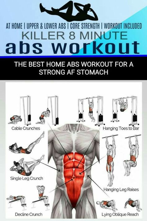 Surfer Workout, 8 Minute Ab Workout, Core Strength Exercises, Hanging Leg Raises, Vegan Bodybuilding, At Home Abs, Ab Work, Core Work, Celebrity Workout