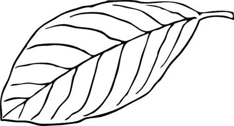 leaf clipart black and white outline Leaf Clipart Black And White, Leaf Black And White, Black And White Outline, Leaf Coloring Page, Leaf Outline, Flowers Coloring, Black And White Leaves, Leaf Clipart, Free Clipart Images