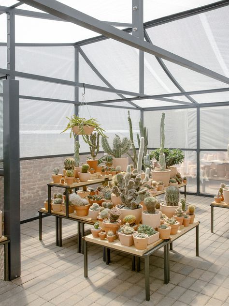 Gallery of New York Greenhouse / Part Office + Cactus Store Cactus Garden Design, Cactus Garden Landscaping, Tropical Interior Design, Home Greenhouse, Backyard Greenhouse, Patio Style, Plant Shop, Diy Greenhouse, Flower Landscape