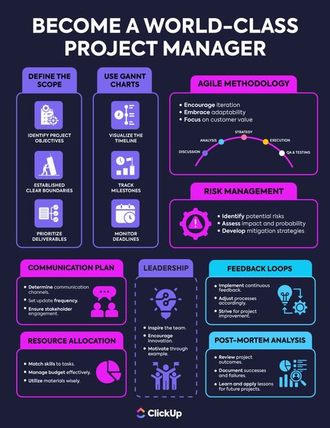 Student Ambassador, Communications Plan, Project Management Tools, Post Mortem, Operations Management, Published Author, Class Projects, Project Manager, Management Skills