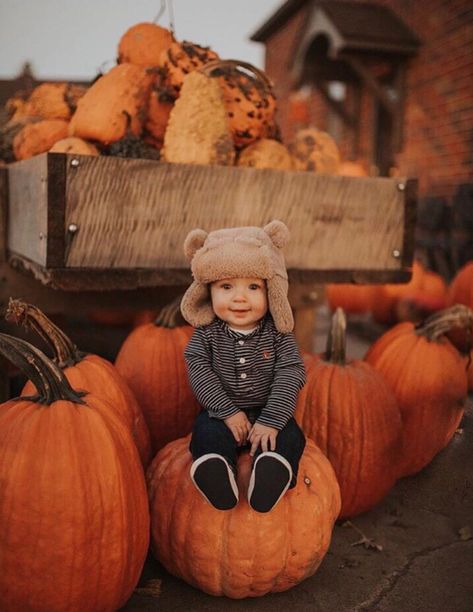 Fall Pumpkin Patch Photo Shoot Family, Pumpkin Patch Pictures Family, Toddler Pumpkin Photoshoot, Diy Pumpkin Patch Photo Shoot, Pumpkin Patch Pictures Kids, Toddler Pumpkin Patch Photos, Pumpkin Photoshoot Kids, Toddler Halloween Pictures, Fall Family Photos Pumpkin Patch