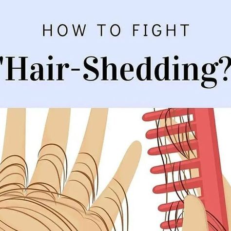 Health | Remedies | Fitness on Instagram: "Hair shedding is a normal part of the hair cycle and is an ongoing process. There are a number of stressors that can affect the hair growth cycle and cause excessive hair shedding. Here, we bring you some information on what exactly it is and few tips that you might find helpful! However, We highly recommend consulting a dermat to seek further guidance. #LiveClean #vanitywagon #Consciousbeauty #Skincarecommunity #cleanbeauty #greenbeauty #skincare #non Hair Cycle, Hair Growth Cycle, Hair Shedding, Green Beauty, Hair Health, Health Remedies, Clean Beauty, Hair Growth, Bring It On