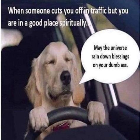 Rain Humor, Funny Spiritual Memes, Mexican Funny, Insta Photos, Spirit Science, Science Humor, Dog Memes, Bones Funny, Spiritual Awakening