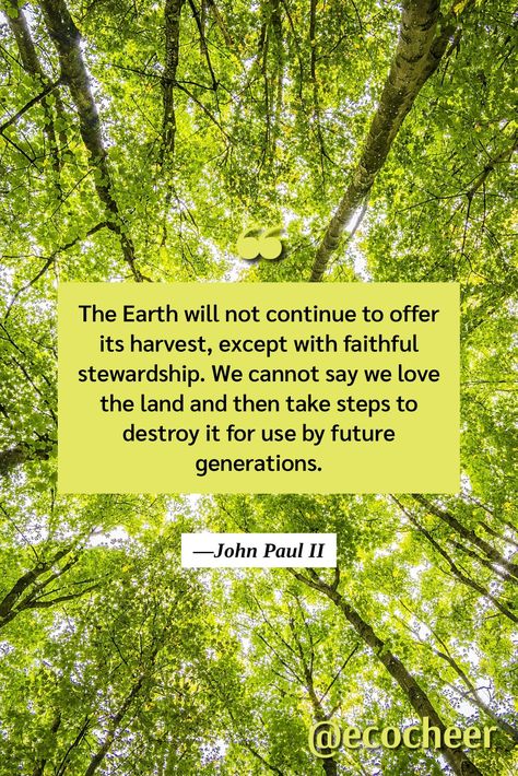 Earth environment quotes Stewardship Quotes, Stealing Quotes, Environment Quotes, Environmental Stewardship, Earth Environment, Gold Quotes, Church Quotes, The Land, The Earth