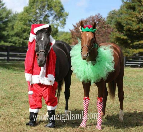 Grinch Horse Costume, Christmas Horse And Rider Costumes, Horse And Rider Christmas Costume, Pony Christmas Costume, Christmas Horse Costumes, Horse Christmas Costume, Diy Christmas Costumes, Equestrian Christmas, Horses Stuff