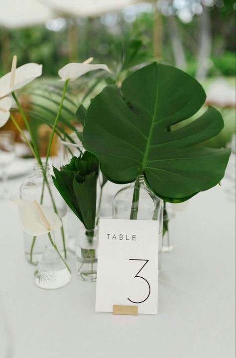 Minimal Tropical Wedding Decor, Minimal Beach Wedding Decor, Modern Tropical Wedding Ceremony Decor, Simple Tropical Wedding Decor, Minimalist Coastal Wedding, Mexico Wedding Centerpieces, Modern Tropical Wedding Centerpieces, Muted Tropical Wedding, Modern Tropical Wedding Decor