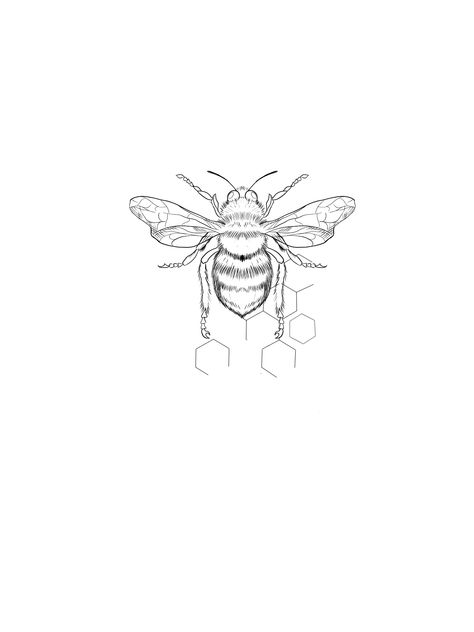 Bee Tattoo Designs Drawings, Colour Bee Tattoo, Simple Bee Tattoo Design, Linework Bee Tattoo, Bee Wings Tattoo, Abstract Bee Tattoo, Seratonin Bee Tattoo, Bee Tattoo Drawing, Bee Minimalist Tattoo