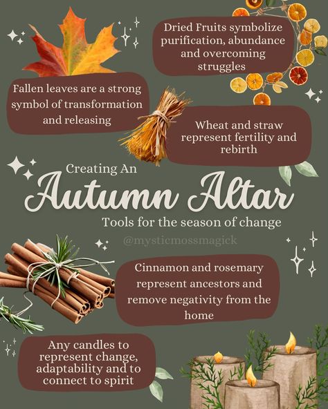 Each of these items and many more can help refresh your altar for the fall season. Including items that connect you to your ancestors, remind you of change and bring personal transformation as well as connecting you to the earths natural cycles is a great way to get in the mood for witchy season 🍂✨🌙🌿 Get access to more information like this and learn how you can celebrate the autumn season through witchcraft by purchasing the AUTUMN MAGICK newsletter through the link in my bio ✨ . . . #autum... Autumn Equinox Witchcraft, Autumn Altar Ideas, Autumn Equinox Altar, Autumn Alter, Witchy Traditions, Seasonal Witchcraft, Autumn Witchcraft, Fall Altar, Autumnal Equinox Celebration