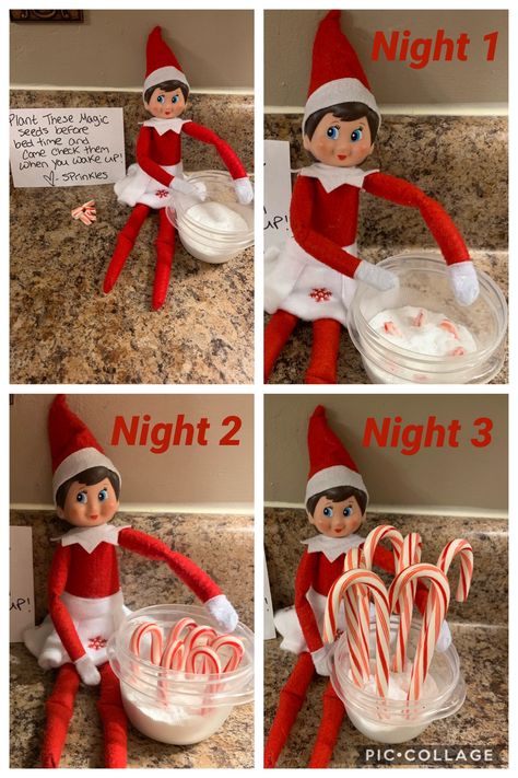 Elf On The Shelf Pranks On Mom, Gross Elf On The Shelf Ideas, Elf Ideas With Sprinkles, Elf On The Shelf Ideas For Two Elfs, Elf Ideas Candy Canes, Elf On The Shelf And Candy Canes, Elf With Candy Cane Ideas, Elf On The Shelves Ideas Easy, Elf On The Shelf Ideas For Kids Funny Easy