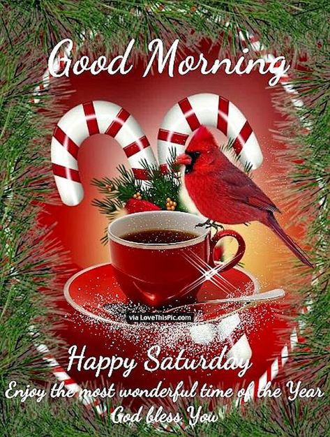 Happy Saturday Images, Saturday Greetings, Good Morning Christmas, Good Morning Winter, Morning Christmas, Saturday Images, Good Morning Happy Saturday, Good Morning Saturday, Good Saturday