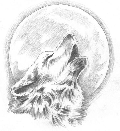 #wattpad #werewolf " Miss please stand in front of the class and introduce yourself. " my teacher said as she directed me where to stand. I walked to the front of the class, looking at all of my classmates in front of me. " Hello everyone. My name is Jessica Meadows and-... " I was interrupted when the door slammed o... Howling Wolf Tattoo, Wolf Sketch, Desen Realist, 강아지 그림, Tiny Tattoo, Wolf Drawing, Wolf Tattoos, Wolf Tattoo, Wolf Howling