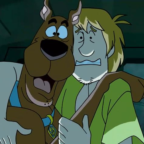 Scooby And Shaggy, What's New Scooby Doo, Shaggy Scooby Doo, Scooby Doo Pictures, Scooby Doo Mystery Inc, Scooby Doo Images, Shaggy Rogers, Scooby Doo Mystery Incorporated, Shaggy And Scooby