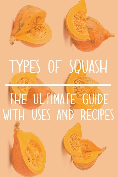 Lakota Squash Recipes, Heirloom Squash Recipes, Kuri Squash Recipe, Types Of Squash, Carnival Squash, Sweet Dumpling Squash, Squash Types, Crookneck Squash, Authentic Italian Recipes