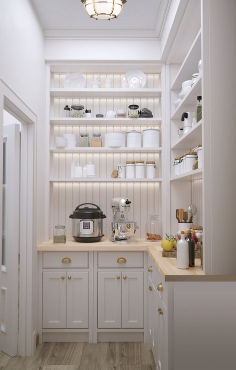 3D Kitchen Pantry Design, Interior Visualization, Pantry Renovation, Kitchen Pantry Remodel, Craftsman Design - Etsy Wide Shallow Pantry Ideas, Double Sided Cabinet, Kitchen Appliance Pantry, Wine Pantry Ideas, Pantry With Broom Storage, Kitchen And Butlers Pantry Layout, Pantry With Lower Cabinets, Coffee Station In Pantry, Shiplap Pantry Walls