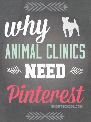 ❤️ Veterinary Marketing, Vet Office Decor, Veterinary Humor, Veterinarians Medicine, Future Veterinarian, Vet Practice, Vet Life, Vet Hospital, Vet Office