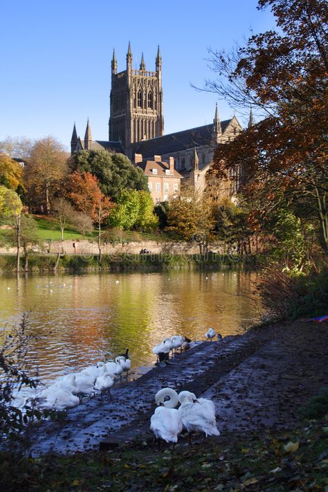 English Cathedrals, Worcester Cathedral, River Severn, Cathedral Architecture, Sacred Spaces, English Heritage, Over The River, Village Life, Worcester