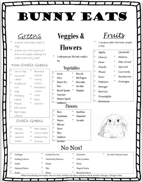 Bunny Diet Chart, Classroom Bunny Pet, Rabbit Care Checklist, Bunny Tips Pet, Bunny Age Chart, Bunny Feeding Schedule, Cheap Bunny Cage Ideas, Bunny Food List, Bunny Needs List