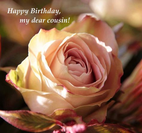 Happy birthday, Cousin! Happy Birthday Dear Cousin, Dear Cousin, Autumn Roses, Autumn Rose, Happy Birthday Dear, Colorful Roses, Cabbage Roses, Love Rose, Beautiful Blooms