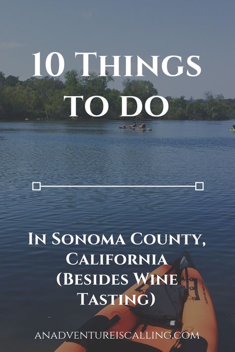 Things To Do In Sonoma California, California Wineries, California With Kids, Napa Valley Trip, Napa Trip, Cali Trip, California Winery, Adventure Is Calling, Sonoma County California