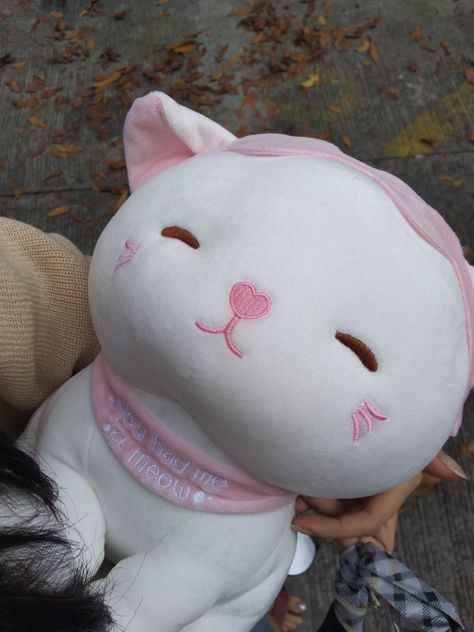 Pink Cat Plushie, Cat Plush Aesthetic, Miniso Plushies Aesthetic, Cute Cat Plushies, Miniso Stuff Toys, Miniso Plush, Miniso Plushies, Aesthetic Plushies, Plushie Collection