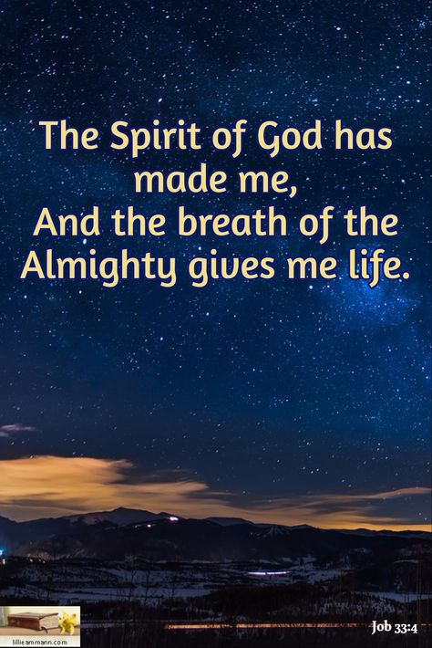 Job 33:4 / The Spirit of God has made me, And the breath of the Almighty gives me life. The Breath Of God, Job 33:4, Good Morning Scripture, Job 33, Morning Scripture, God 7, Spirit Of God, Bible Words, Holy Bible