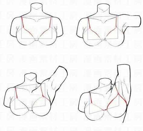 Torso Study, Draw Arms, Torso Anatomy, Paint Anime, Jojo Pose, Anatomy References, Body Drawing Tutorial, Body Sketches, Anatomy Sketches