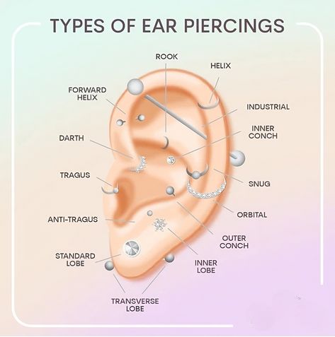 tendy Jewelry Collection Ear Piercings Locations, Type Of Piercings Ears, Different Types Of Piercings Ears, Types Of Piercings Ears Chart, Ear Piercings Chart Placement, Dainty Ear Piercing Ideas, Ear Mapping Piercing Ideas, Nom Piercing Oreille, All Ear Piercings Names