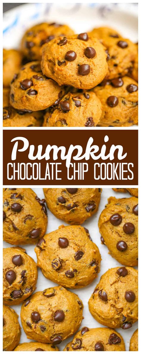 Old-Fashioned Pumpkin Chocolate Chip Cookies - Old-Fashioned Pumpkin Chocolate Chip Cookies like Grandma bakes! Biscuits Diététiques, Fall Baking Recipes, Cookie Run Kingdom, Pumpkin Chocolate Chip Cookies, Pumpkin Chocolate Chip, Pumpkin Recipes Dessert, Pumpkin Chocolate Chips, Fall Dessert Recipes, Cooking Classy