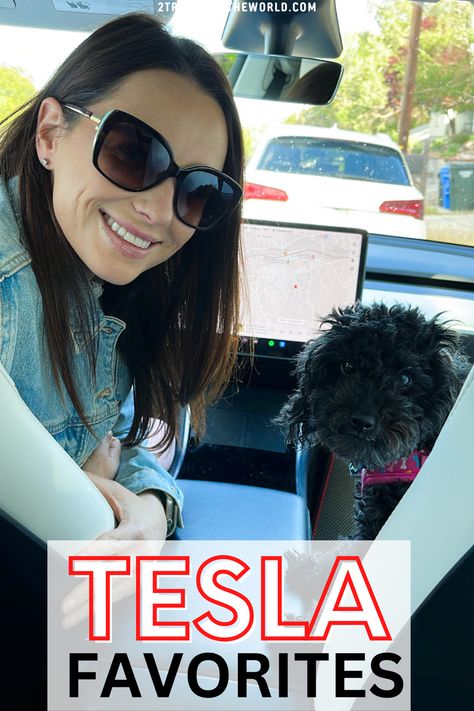 girl and dog in a tesla car. The toy poodle and woman are in the front seat of a tesla model y. The image reads tesla favorites and links to our favorite tesla model y accessories Tesla Model S Accessories, Tesla Car Organization, Tesla Model Y Organization, Car Camping Tesla Model Y, Tesla Key Card Holder, Tesla Model Y Interior Accessories, Tesla Interior Decor, Tesla Model 3 Interior Accessories, Tesla Model Y Accessories 2023